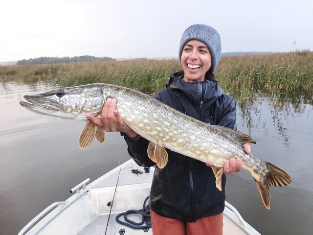 Listing image 914160