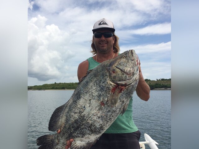 Listing image 396335