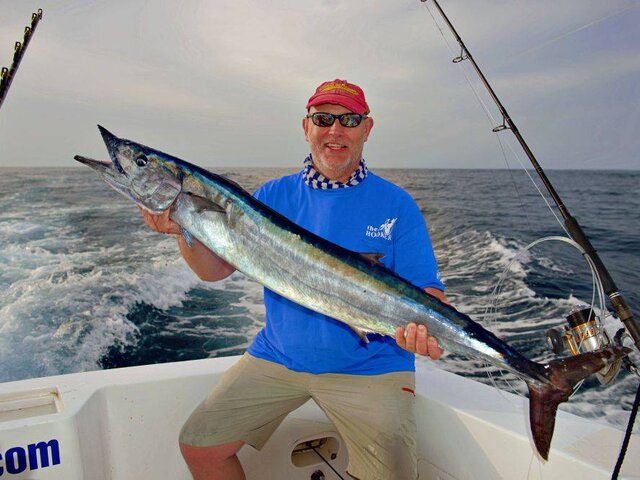 Listing image 409793