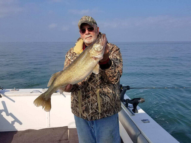 Listing image 402833