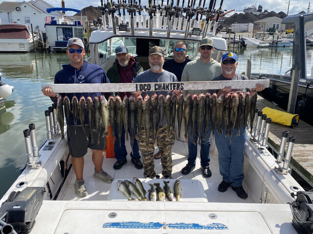 Listing image 1269697