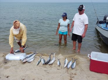 Placencia Eagle Ray Tours