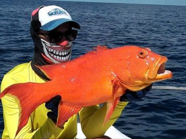 Angel Tours Seychelles