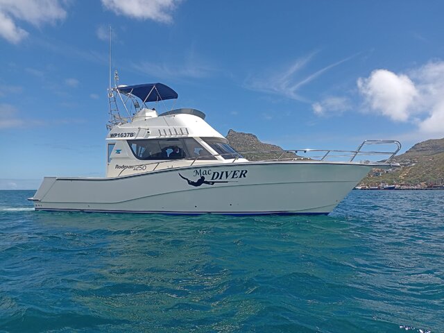 Listing image 1056982