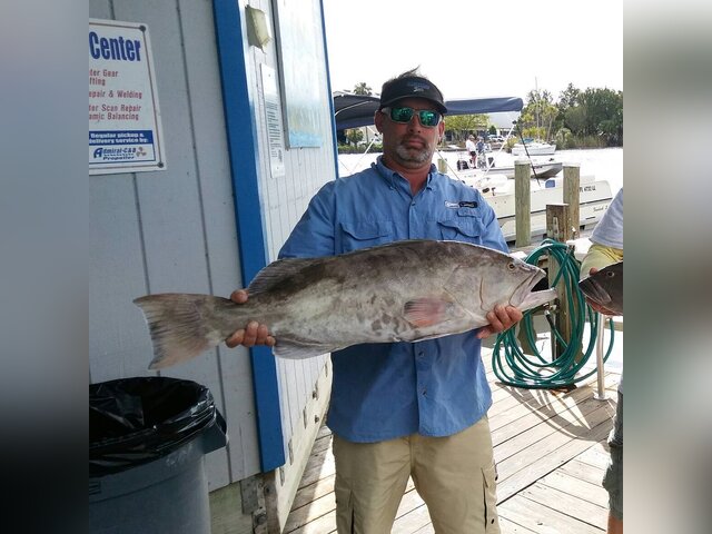 Listing image 409611