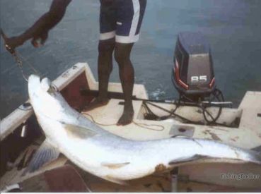 Janneh Boating and Fishing Co – Hanna1