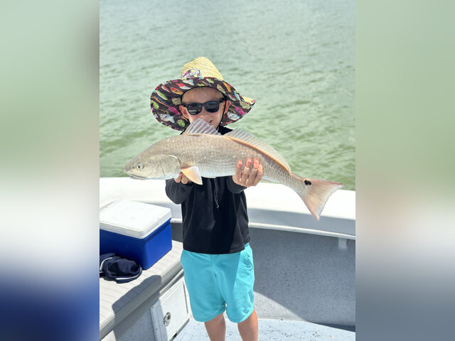 Listing image 1069085