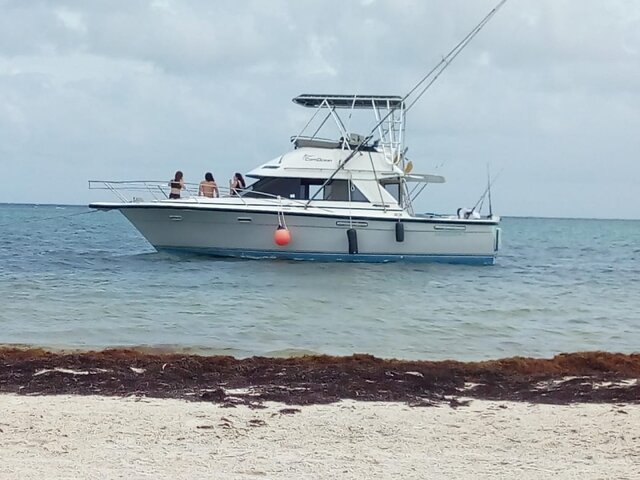 Listing image 759410