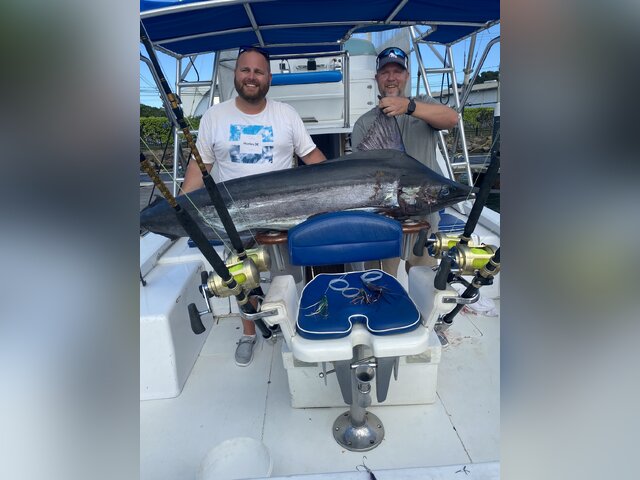 Listing image 1119402