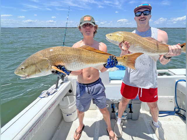 Listing image 936909