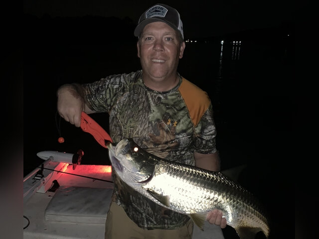 Listing image 404845