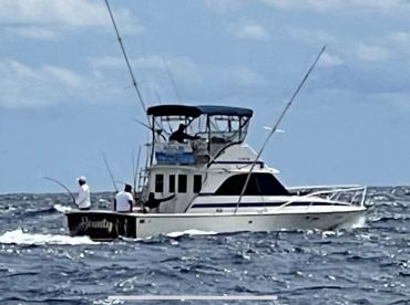 SoFlo Sportfishing LLC thumbnail