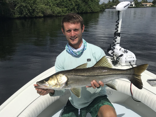 Listing image 421797