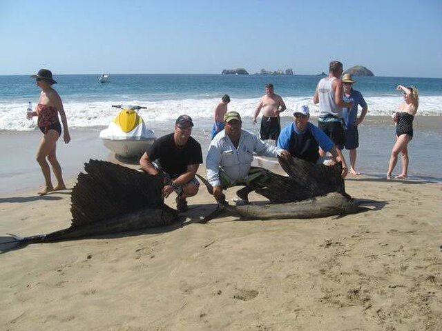 Listing image 408043