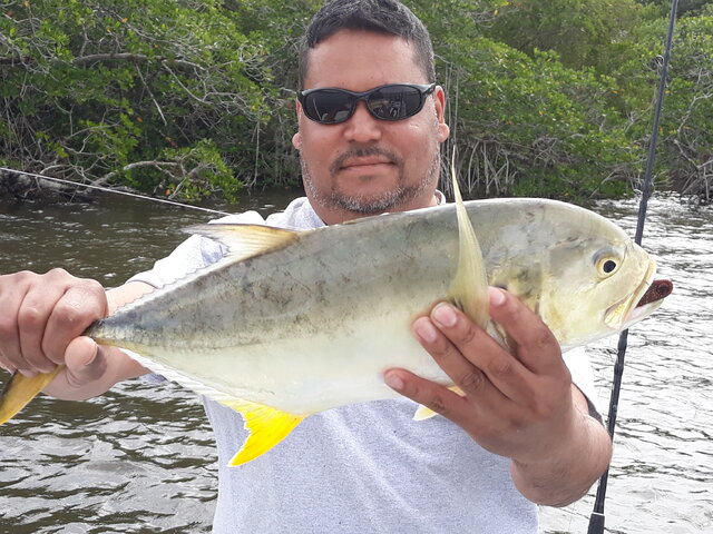 Listing image 409310