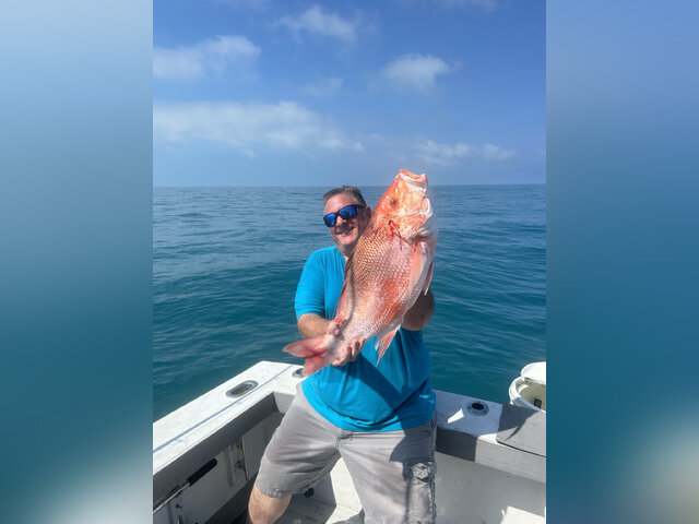 Listing image 864278