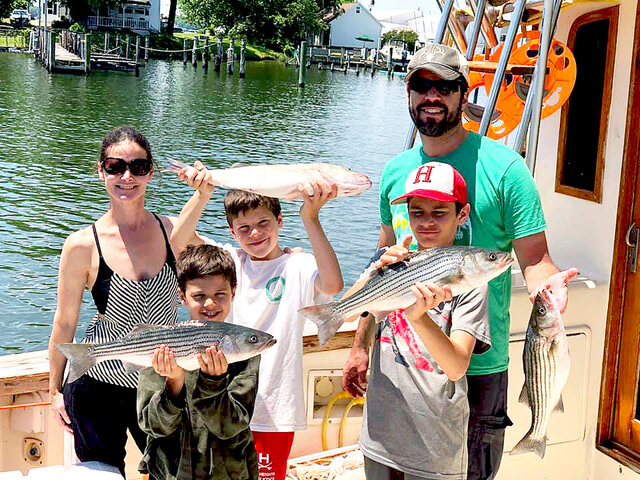 Listing image 415766