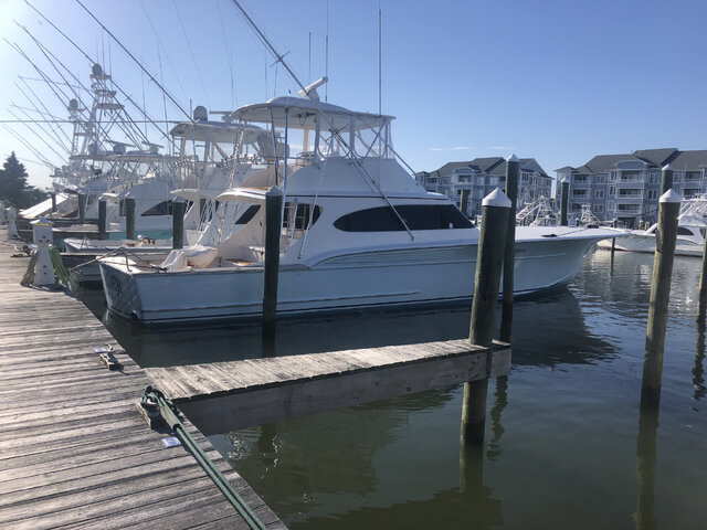 Listing image 420203