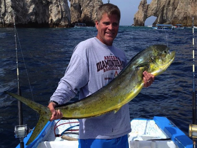 Listing image 417834