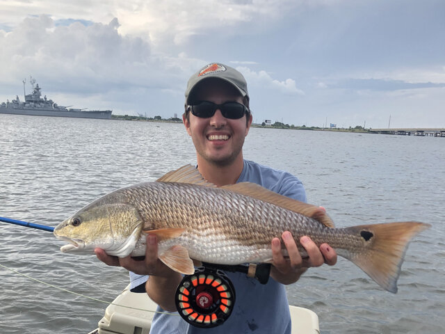 Listing image 418216