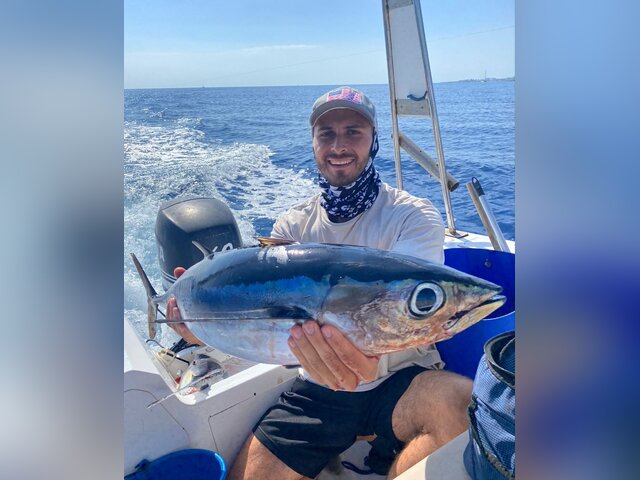 Listing image 1182678