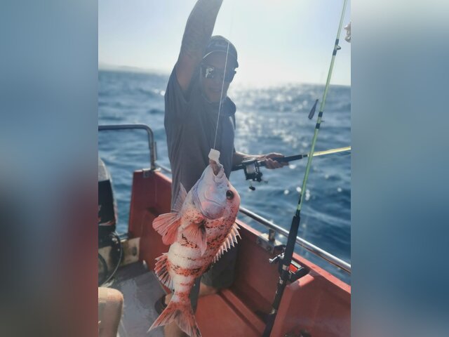 Listing image 620505