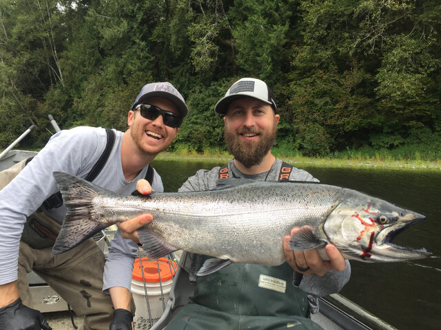 Listing image 421168