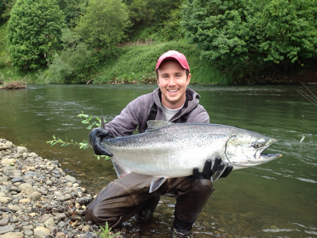 Listing image 421185