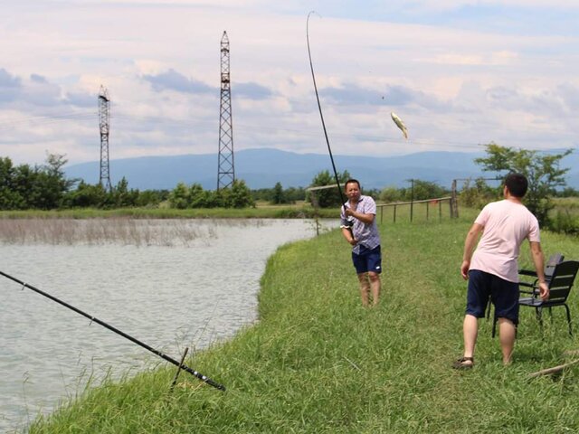 Listing image 423051