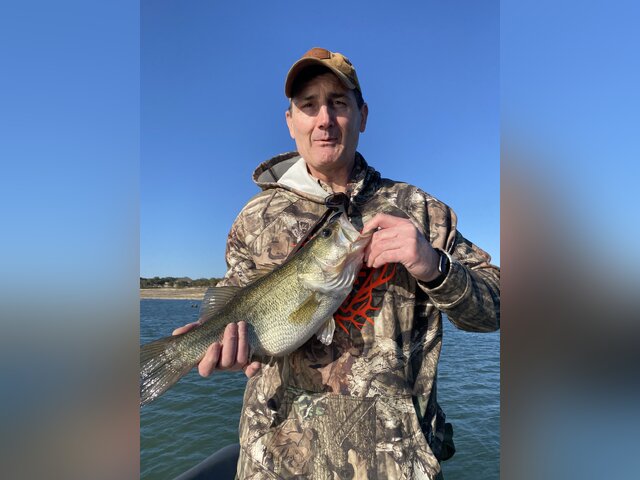 Listing image 599658