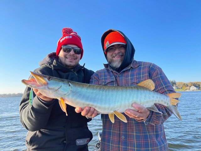 Listing image 1136088