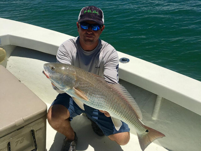 Listing image 433666