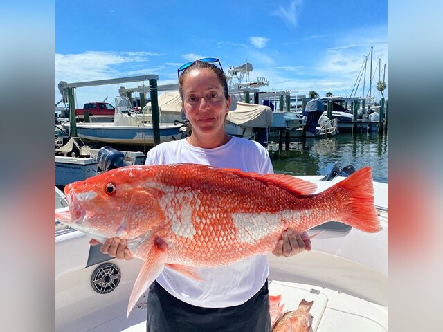 Listing image 702711