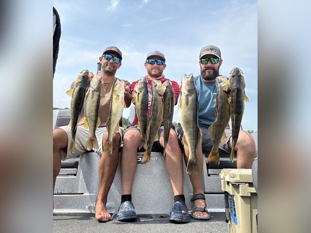 Listing image 1247951