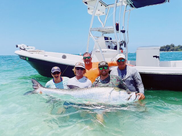 Listing image 803949