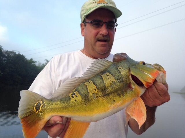 Listing image 430210