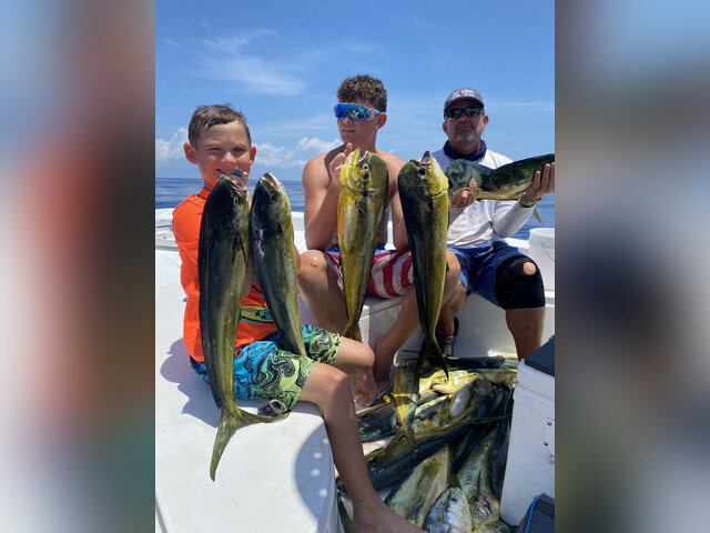 Listing image 1266555