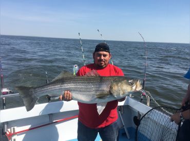 Chubby Chaser Charters