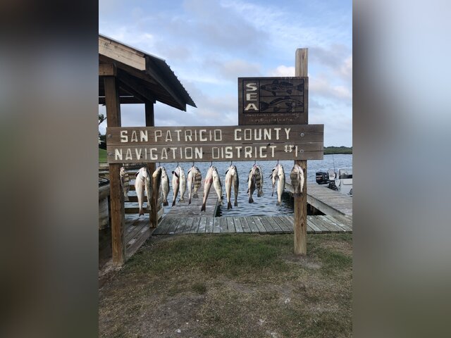 Listing image 470337