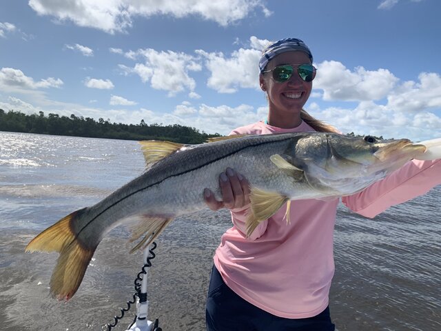 Listing image 430764