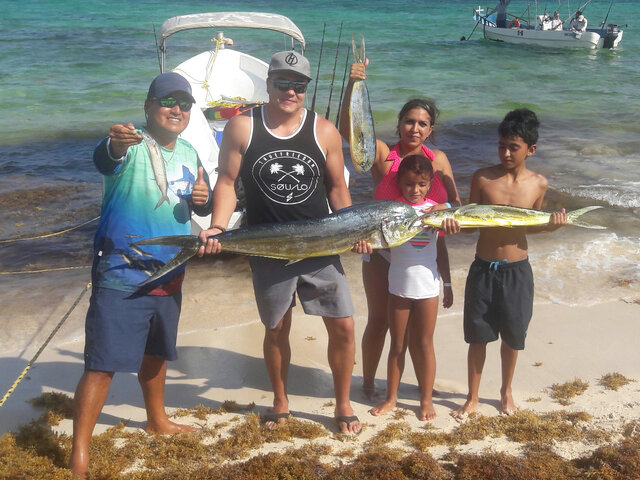 Listing image 443881