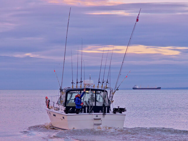 Listing image 448403