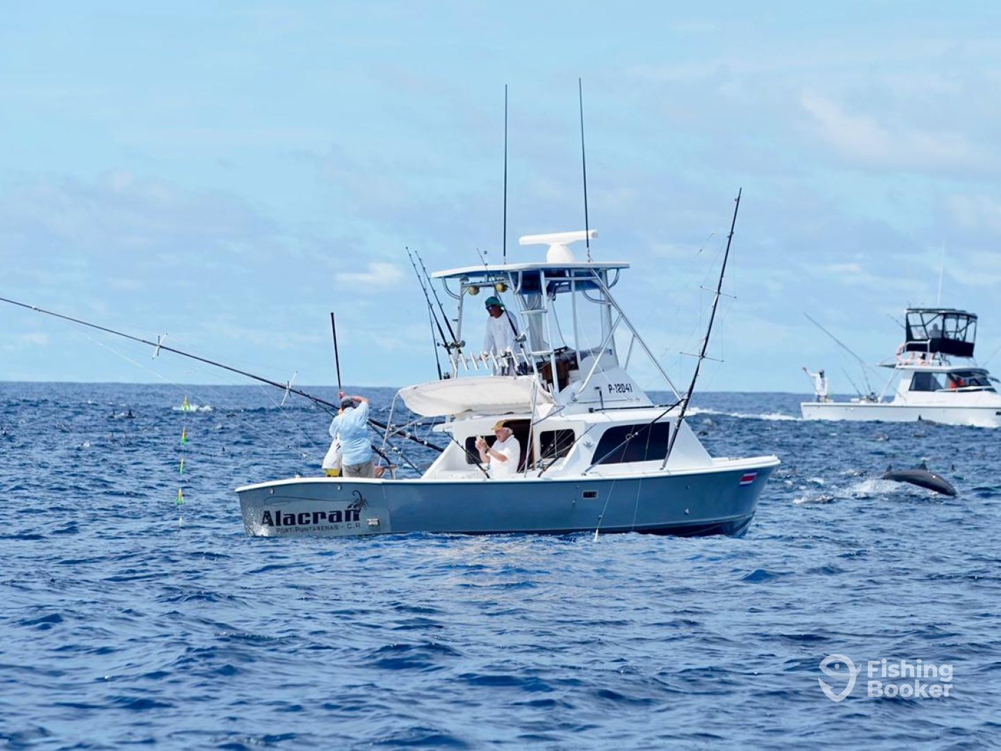 Boat image
