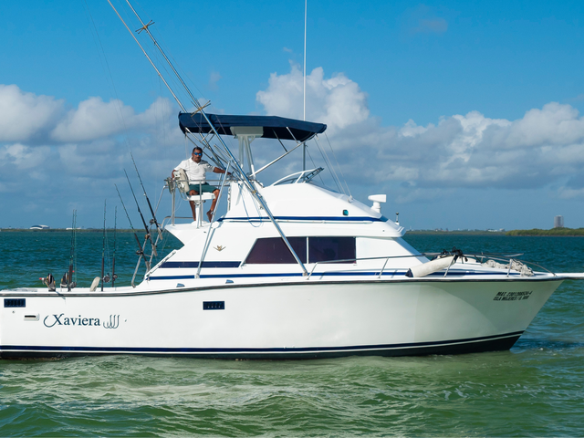 Listing image 731775