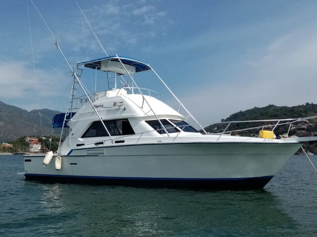 Listing image 488317