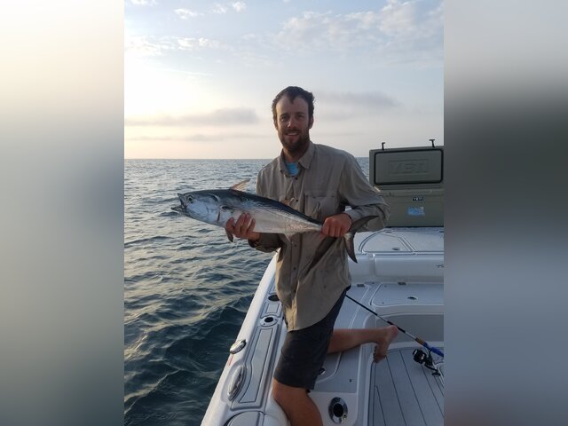 Listing image 438867