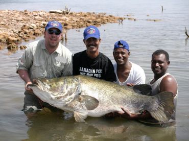 Nile Perch