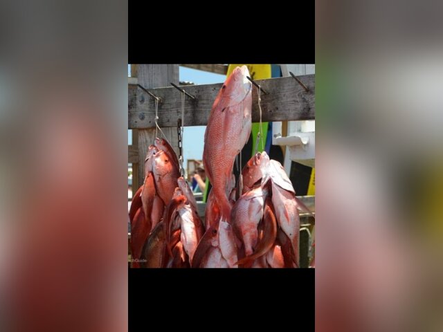 Listing image 439953