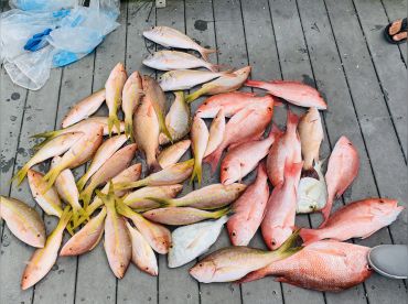 Clearwater Beach Fishing Charter thumbnail