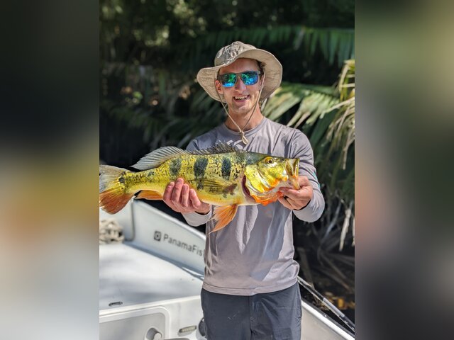 Listing image 666956